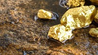 Золотодобывающая компания